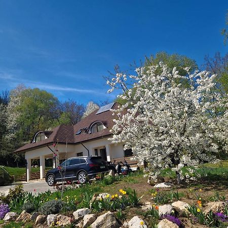 Provence Suceava Hotel Bagian luar foto