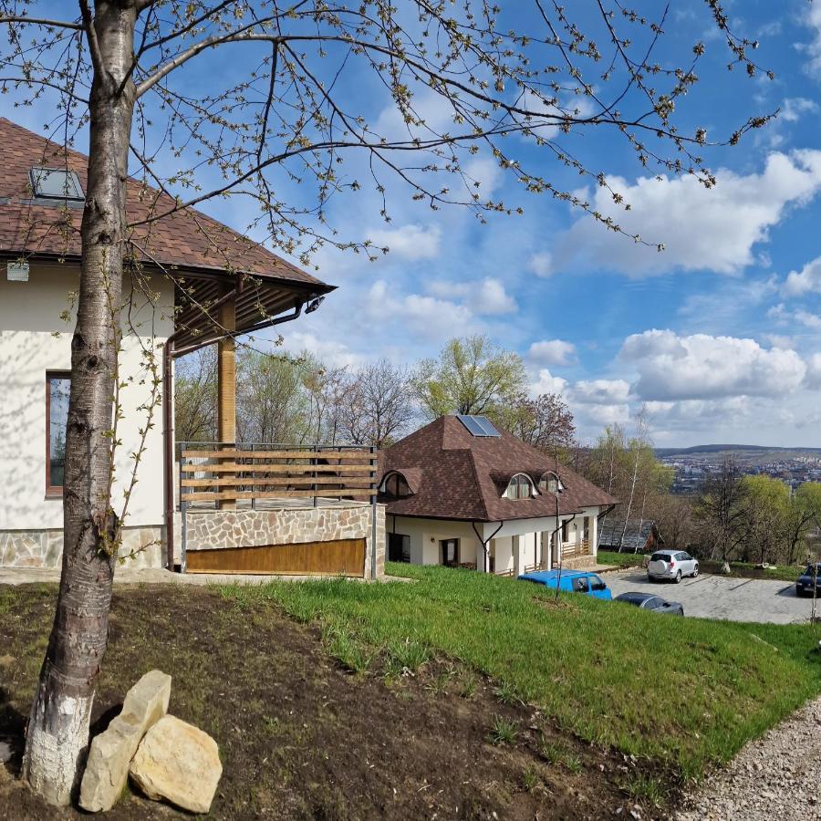 Provence Suceava Hotel Bagian luar foto