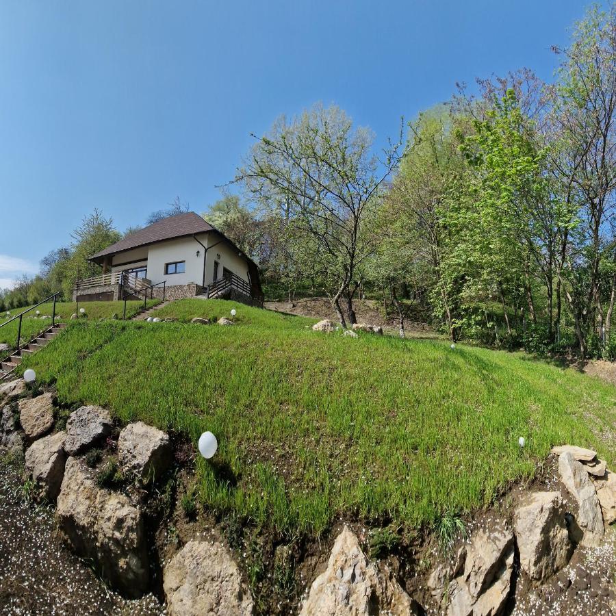 Provence Suceava Hotel Bagian luar foto