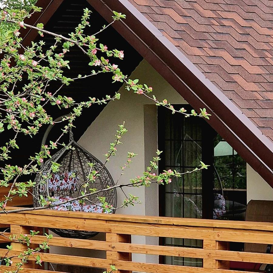 Provence Suceava Hotel Bagian luar foto