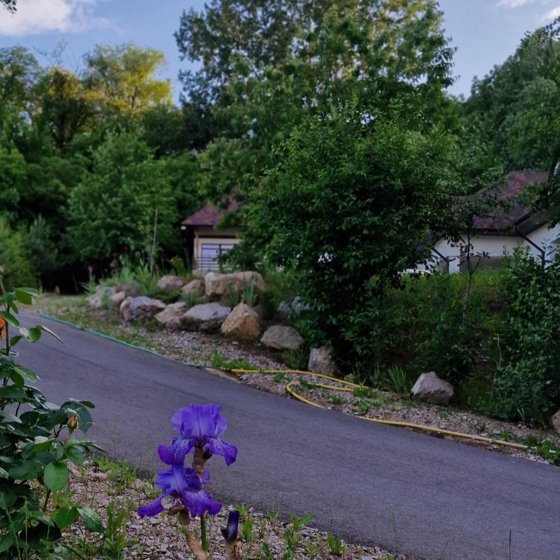 Provence Suceava Hotel Bagian luar foto
