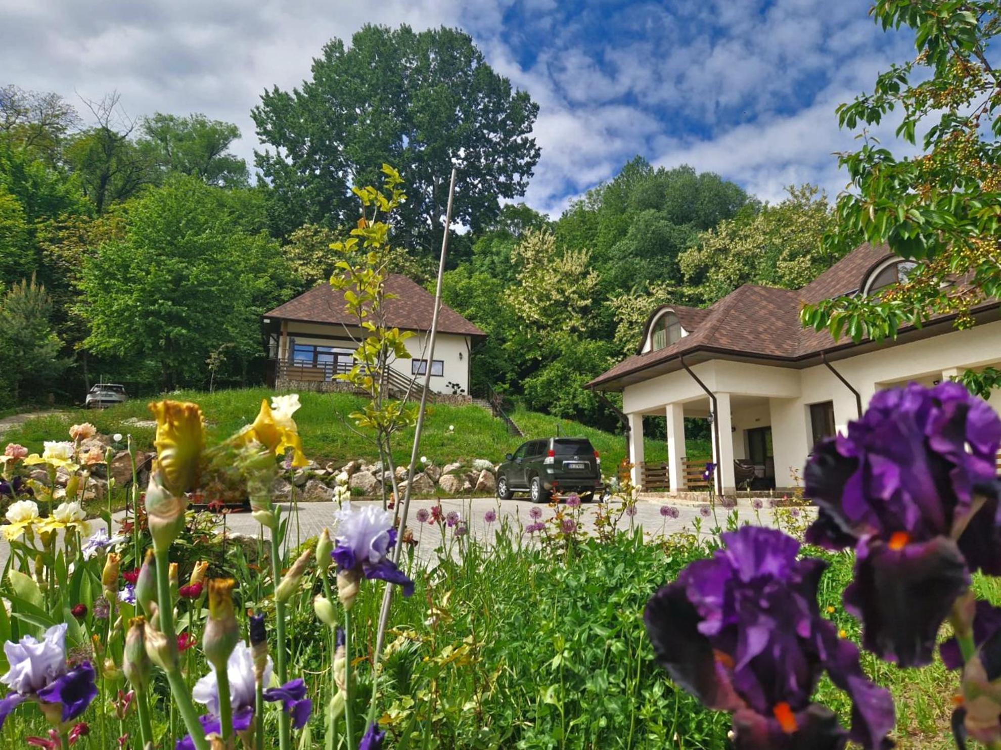 Provence Suceava Hotel Bagian luar foto