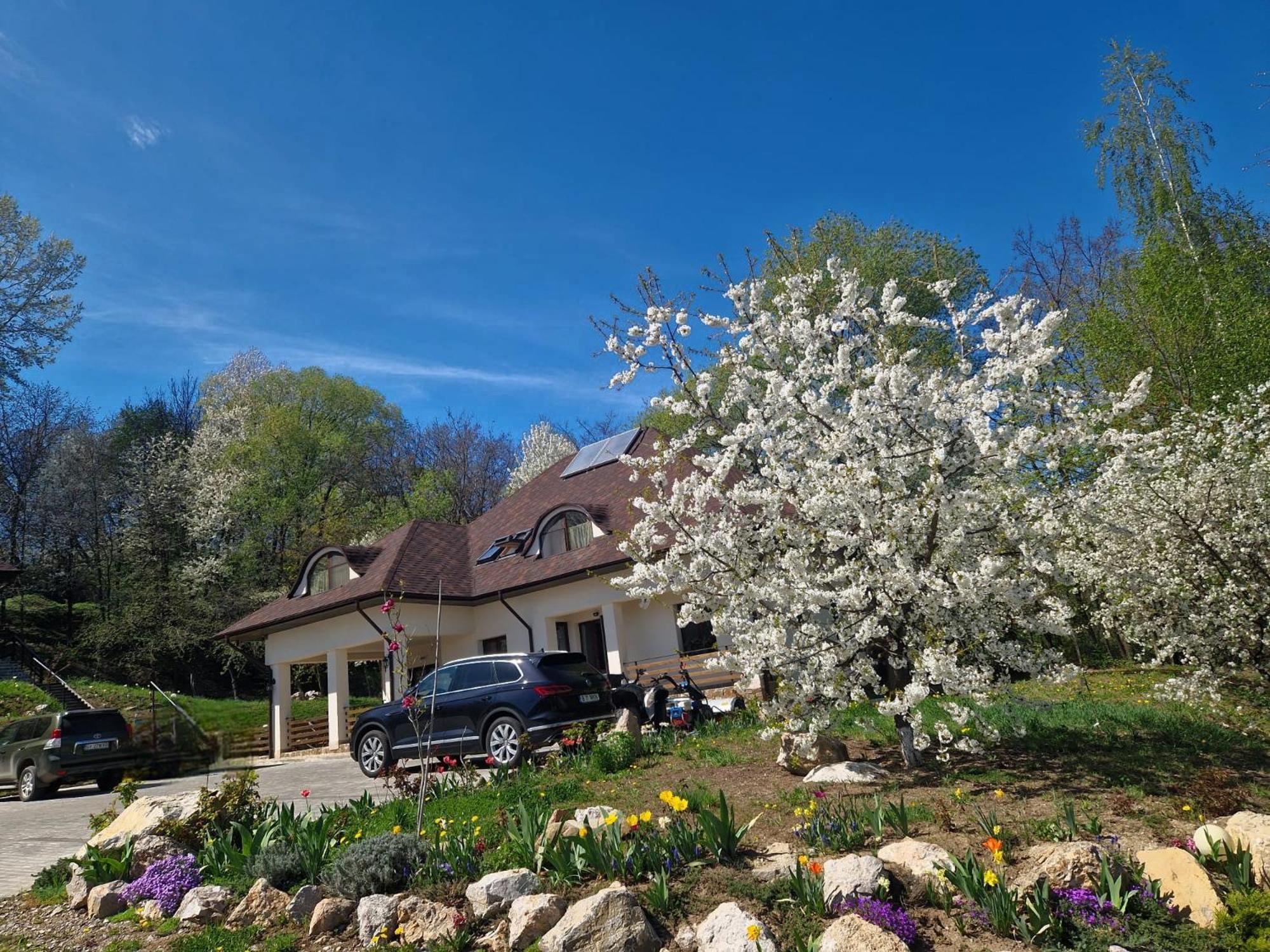 Provence Suceava Hotel Bagian luar foto